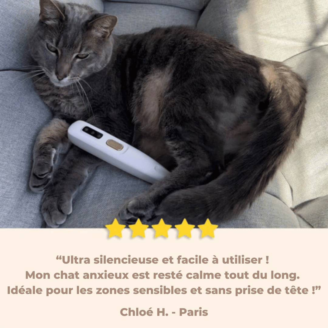Tondeuse Nooclip™